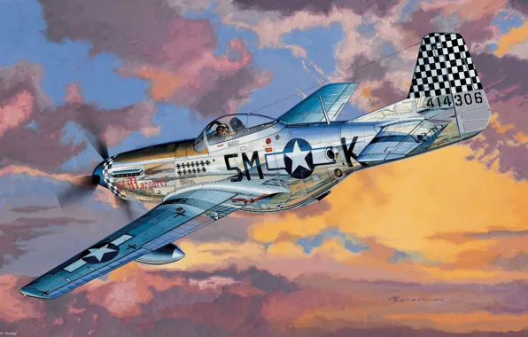 Picture aviation, Mustang, Mustang, fighter, the plane, American, F-6D