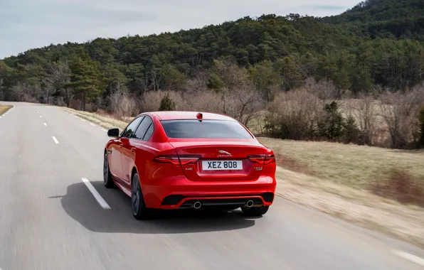 Picture road, forest, red, Jaguar, rear view, 2020, Jaguar XE