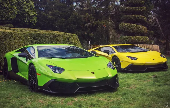 Grass, Lamborghini, Trees, Lamborghini, The bushes, Green, Yellow, Aventador