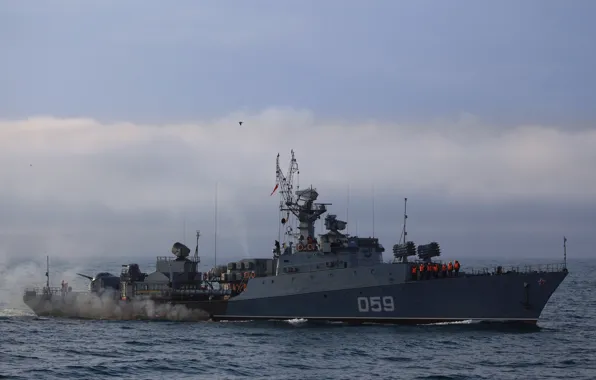 Ship, Navy, anti-submarine, small, The Black Sea Fleet, &quot;Albatross&quot;, MPK, &quot;Alexandrowicz&quot;