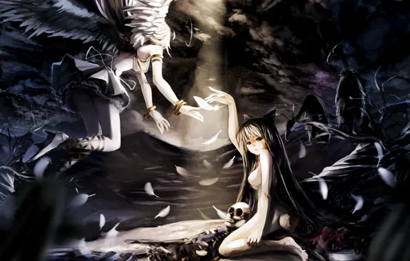 Birds, wings, feathers, dark, bones, skeleton, bow, halo