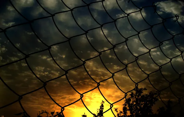 Picture sunset, mesh, the fence