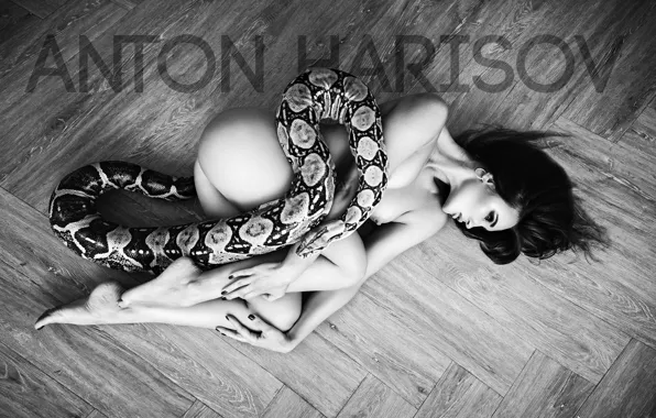 Chest, pose, model, naked, body, snake, makeup, figure