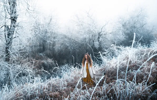 Picture forest, girl, snow, Lizzy Gadd, Winter Frost