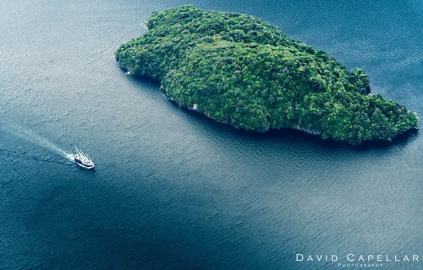 Nature, the ocean, island, yacht, Bay, New Zealand