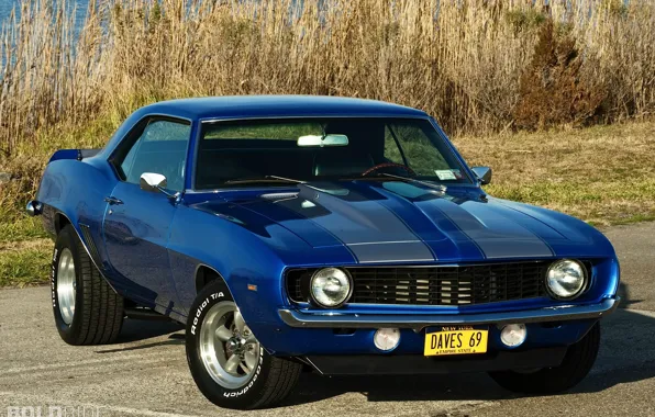 Picture Chevrolet, camaro, classic 1969