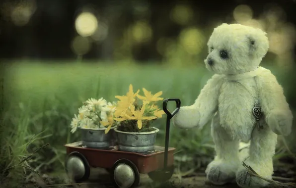 White, grass, flowers, nature, childhood, background, toy, garden