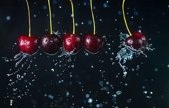 Picture movement, cherry, water drops, Newton's cradle