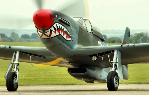 Picture Mustang, fighter, cabin, P-51