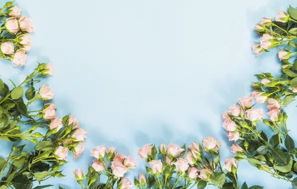 Flowers, roses, bouquet, pink, pink, flowers, beautiful, romantic