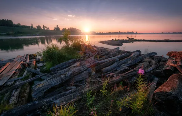 The sky, grass, the sun, rays, light, flowers, lake, pond
