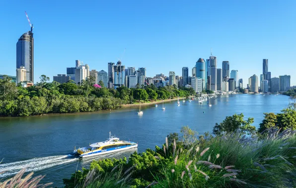 Greens, the sky, the sun, trees, river, boat, home, yacht