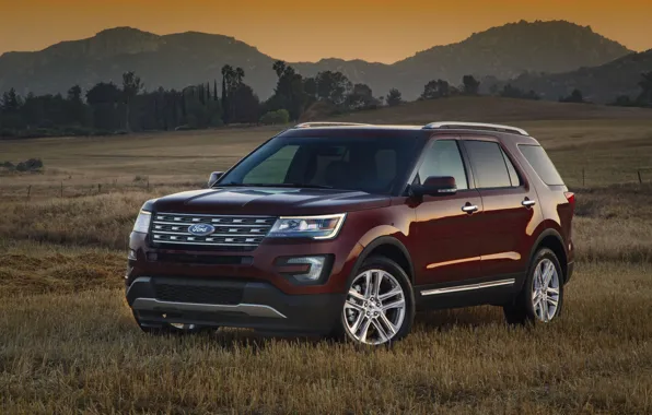 Ford, SUV, Explorer, 2016, in the meadow