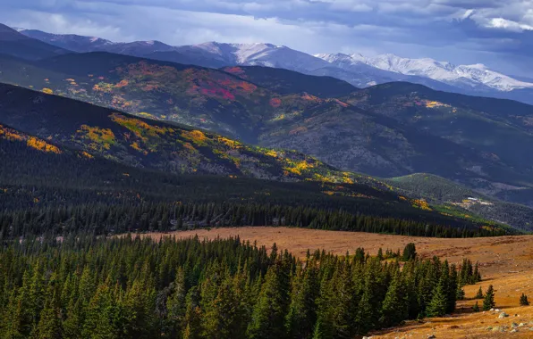 Autumn, forest, the sky, clouds, mountains, fog, the slopes, dal
