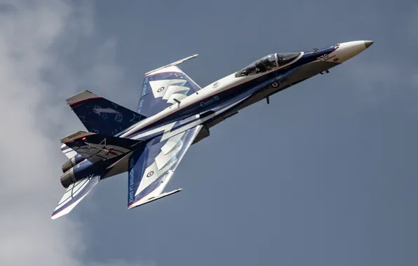 Picture CF-18 Hornet, McDonnell Douglas, Canadian air force