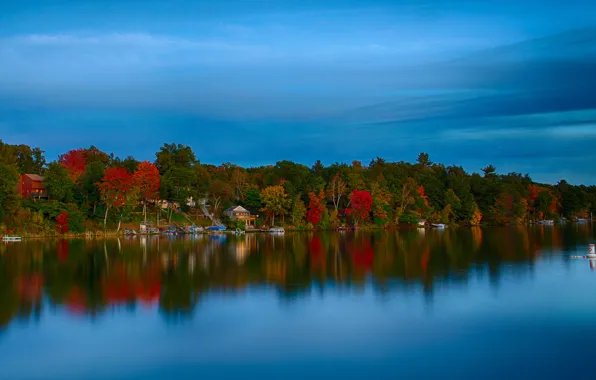 Autumn, forest, the sky, trees, lake, house