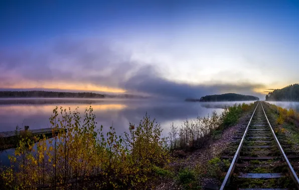 Picture autumn, forest, the sky, trees, fog, river, dawn, rails