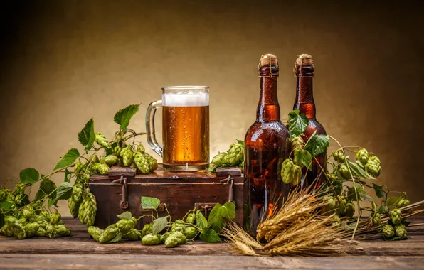 Foam, leaves, Board, rye, beer, mug, bottle, ears