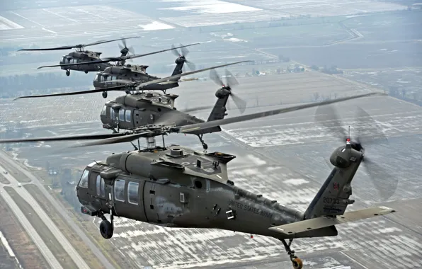 Picture weapons, army, Sikorsky, UH-60, Black Hawk, helicopters