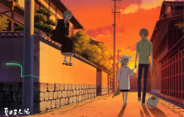 Cat, trees, street, posts, the fence, the evening, walk, natsume yuujinchou