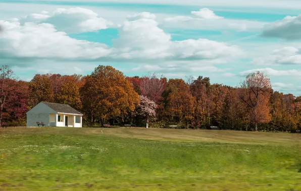 Picture field, the sky, grass, clouds, trees, house, Park, dump truck