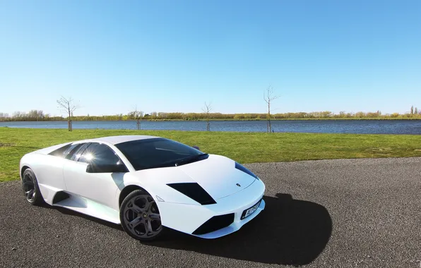 White, the sky, trees, lake, shadow, white, lamborghini, side view