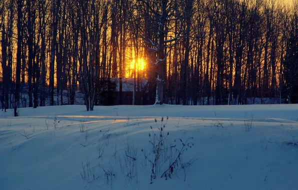 Picture snow, trees, sunset, house