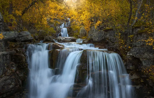 Autumn, trees, rocks, waterfall, Norway, cascade, Norway, Dover