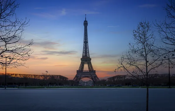 Trees, sunset, France, Paris, Eiffel Tower, Paris, France, Eiffel Tower