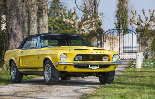 Mustang, Ford, Shelby, Ford Mustang, Front, Yellow, Convertible, GT500 KR