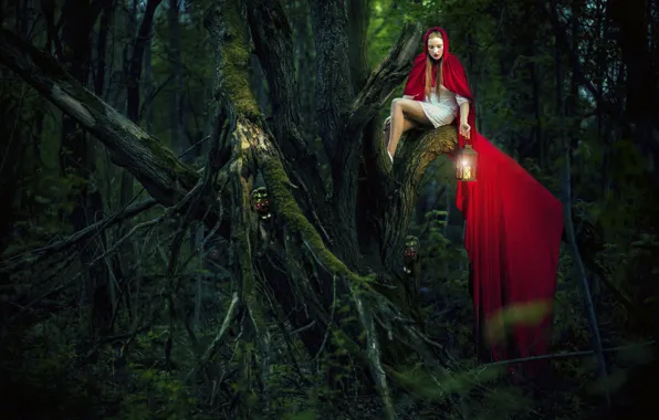 Forest, girl, tree, art, red coat