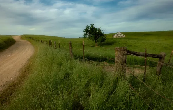 Road, field, summer, grass, clouds, tree, the fence, house