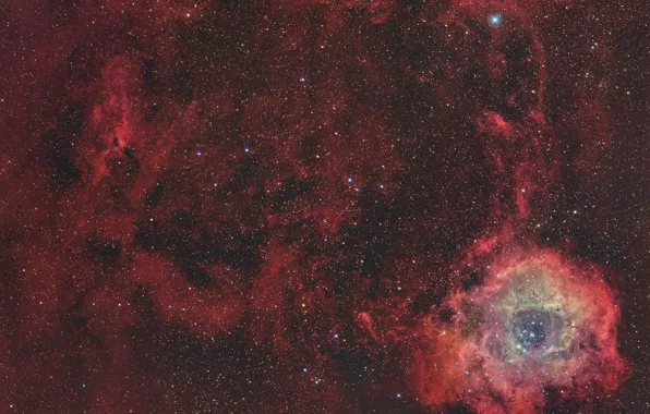 Picture space, stars, space, Rosette Nebula