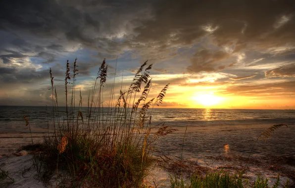 Picture sand, sea, grass, clouds, sunset, nature