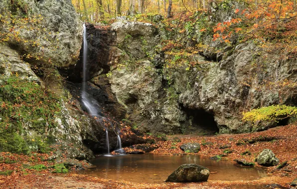 Forest, trees, Park, stream, stones, waterfall, moss, USA
