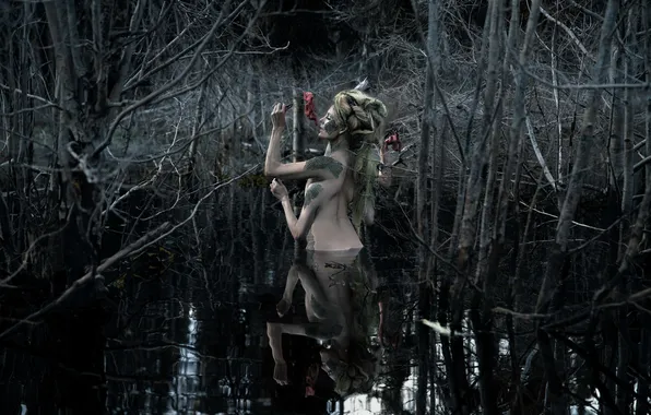 The situation, Monster, Swamp