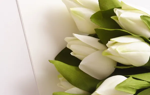 Leaves, flowers, bouquet, green, tulips, white
