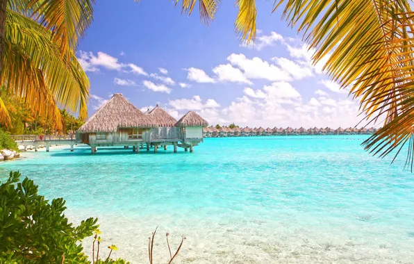 Palm trees, the ocean, the hotel, Bungalow, bora-bora, tropical isl