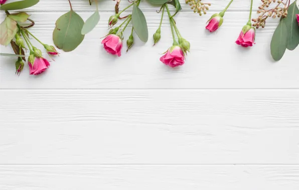 Picture leaves, flowers, roses, pink, buds, wood, pink, flowers