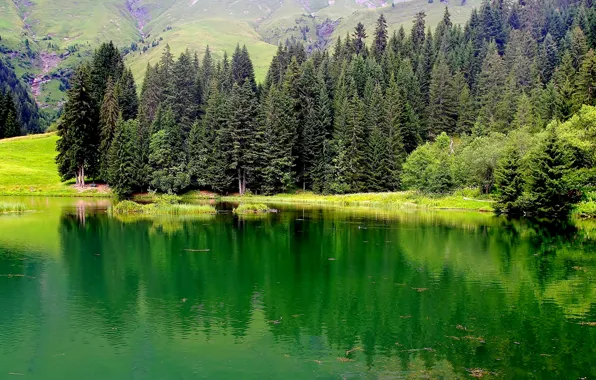 Grass, trees, mountains, lake, France, Haute-Savoie