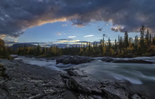 Autumn, forest, clouds, trees, river, Sweden, Sweden, Lapland