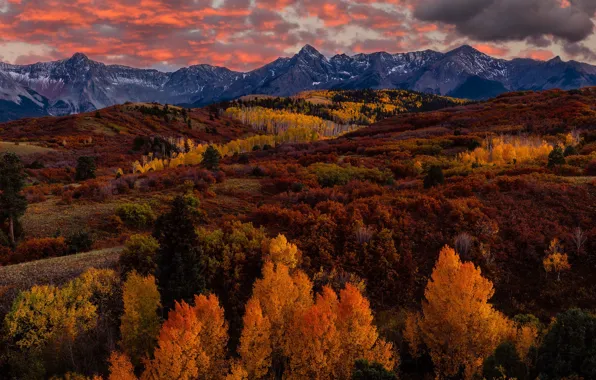 Picture autumn, forest, mountains, the colors of autumn