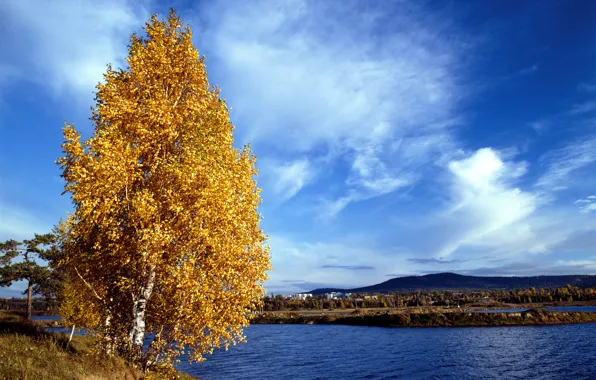 Autumn, the sky, leaves, clouds, river, shore, yellow, birch