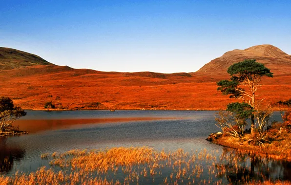 Wallpaper lake, the sky, mountains, island, panorama, trees, grass