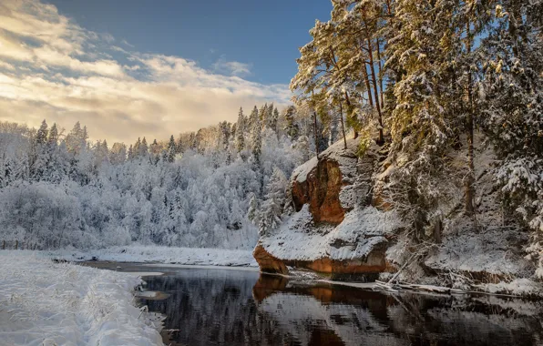 Picture winter, snow, trees, nature, river