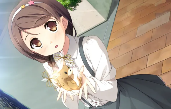 Gift, toy, protein, blouse, art, bezel, big eyes, visual novel