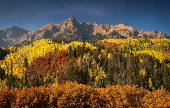 Nature, Autumn, Colorado