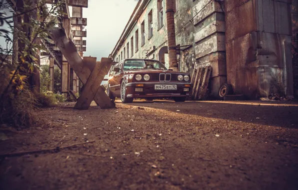 The sun, bench, photo, plant, bmw, shadow, photographer, bench