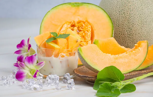 Flowers, slices, composition, melon