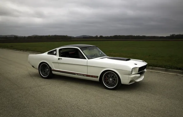 Ford, Ford Mustang, Blizzard, White, Fastback, Side, Ringbrothers, Mustang 1965
